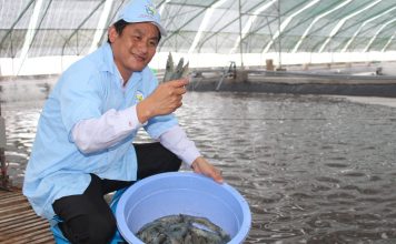 dự án nuôi tôm theo công nghệ xanh