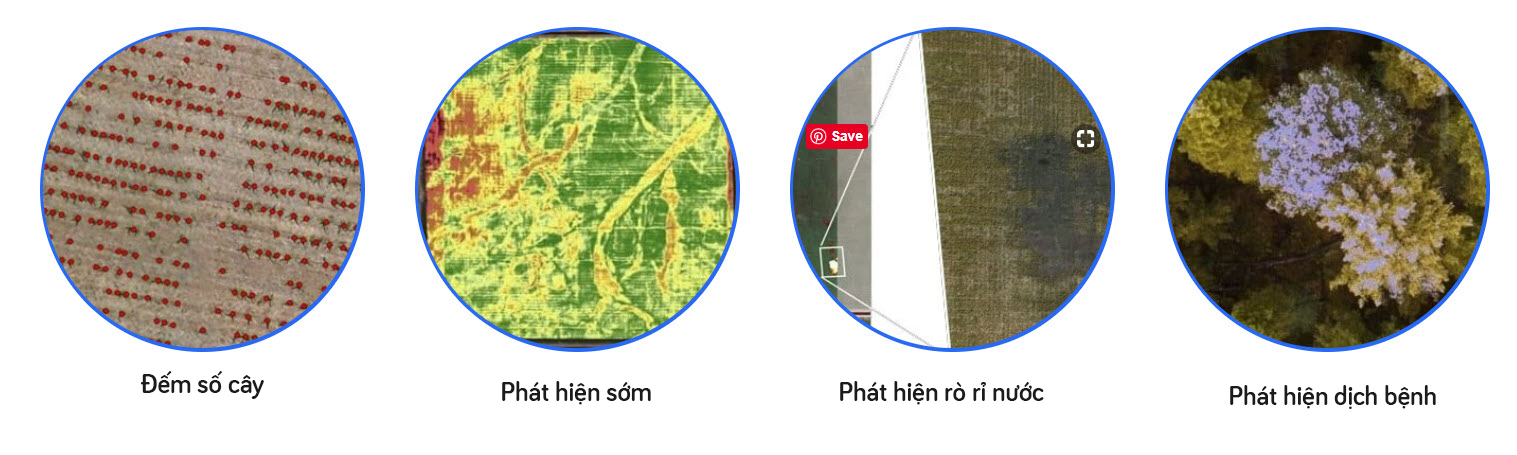 4 ứng dụng chính của drone trong nông nghiệp