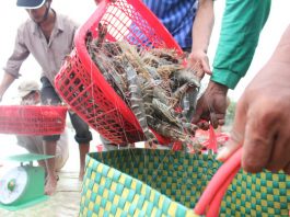 công nghệ mới trong ngành nuôi trồng thủy sản