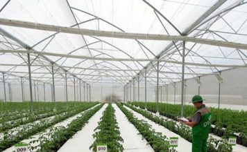 Triển vọng trong nền nông nghiệp không dùng đất nền nông gnhiệp không dùng đất