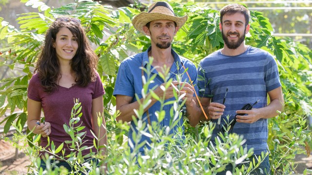 Mô hình trồng rau công nghệ mới từ Israel phát triển tại Việt Nam