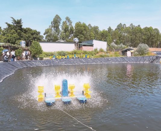 Thành công lớn trong nuôi cá công nghệ cao ở Việt Nam