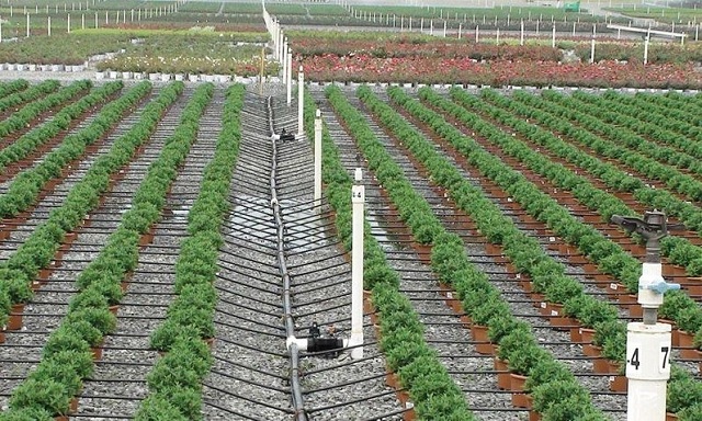Thiết bị nông nghiệp công nghệ cao mở ra xu hướng sản xuất mới cho nông nghiệp hiện đại