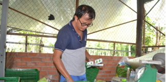 trồng rau sạch theo phương pháp thủy canh