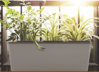Ưu nhược điểm và những lưu ý khi sử dụng chậu tự tưới