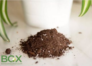 Đất trộn hữu cơ trồng cây nội thất và cây trồng trong chậu Đất trộn hữu cơ trồng cây nội thất và cây trồng trong chậu 1