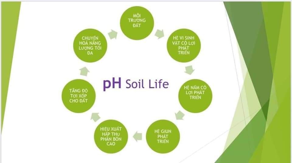 Độ pH của đất là gì và tầm quan trọng của pH đối với cây trồng