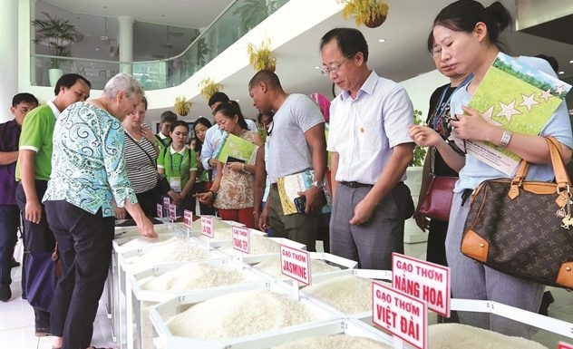 Giới thiệu các giống gạo ngon của Việt Nam vào EU