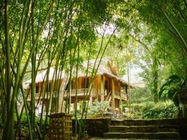 Hay là mình về quê sống đi