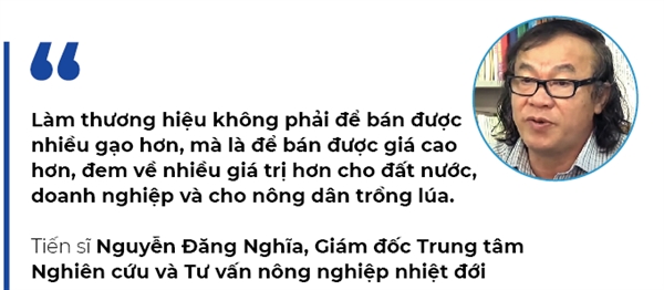 Visa EVFTA cho gạo Việt