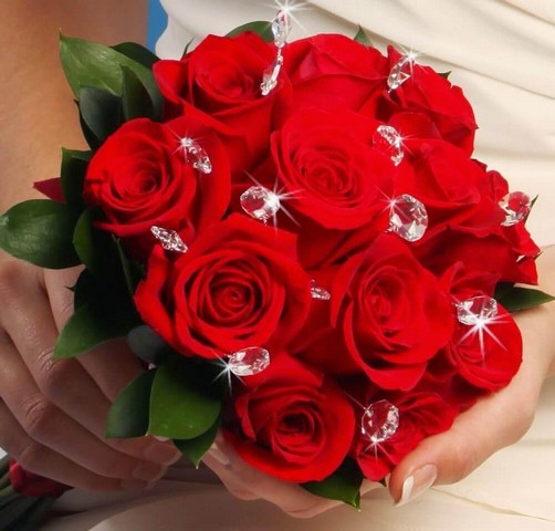 Hồng nhung nổi bật với sắc hoa đỏ thắm