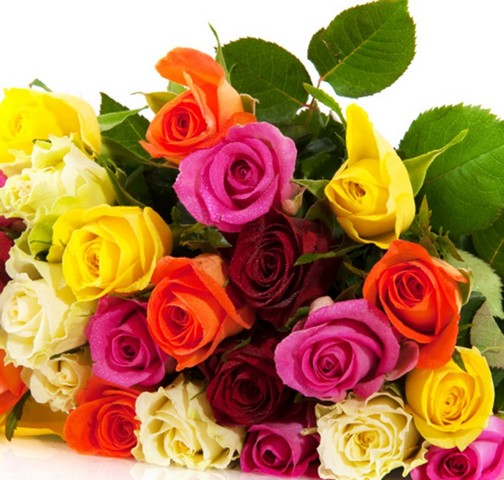Bạn đã biết tất cả ý nghĩa hoa hồng theo từng màu sắc?