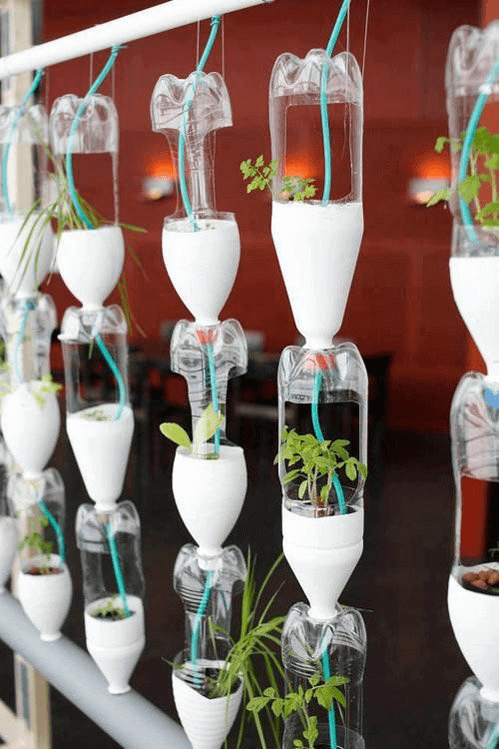 Hệ thống tưới nước tự động trên giàn chai nhựa trồng rau