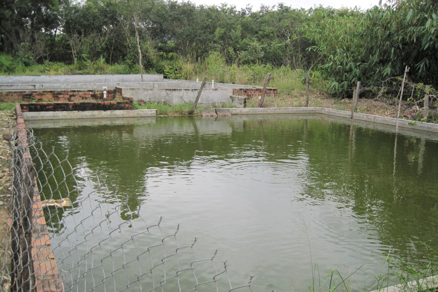 Mô hình vườn ao chuồng VAC xây dựng ra sao  Farmvina Nông Nghiệp
