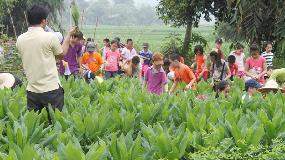 trang trại đồng quê