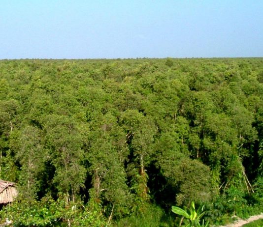 Mô hình vườn rừng ở khu du lịch sinh thái vườn quốc gia U Minh Thượng