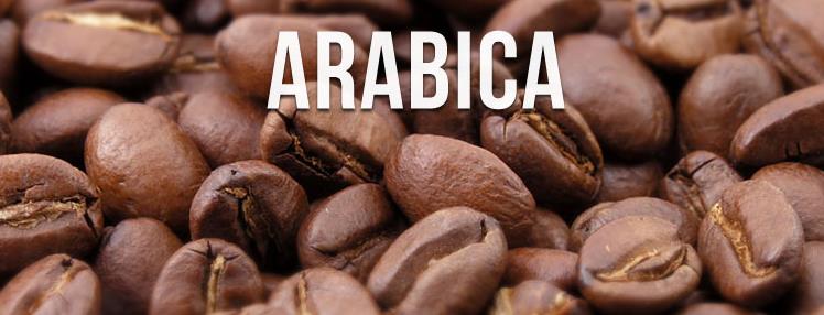 cà phê Tây Nguyên Arabic
