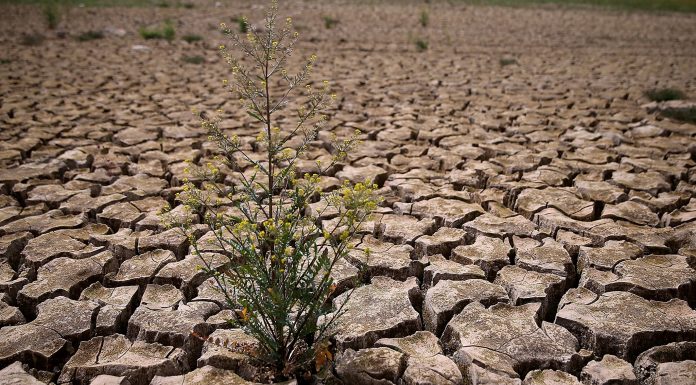 đất khô cằn khó sản xuất cần cải tạo