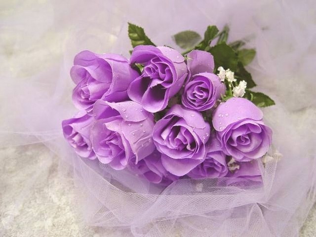 Số lượng mỗi bông hoa hồng tím trong bó hoa là những thông điệp khác nhau