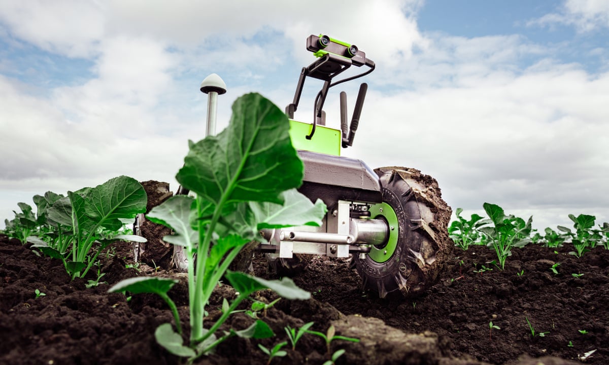 robot nông nghiệp