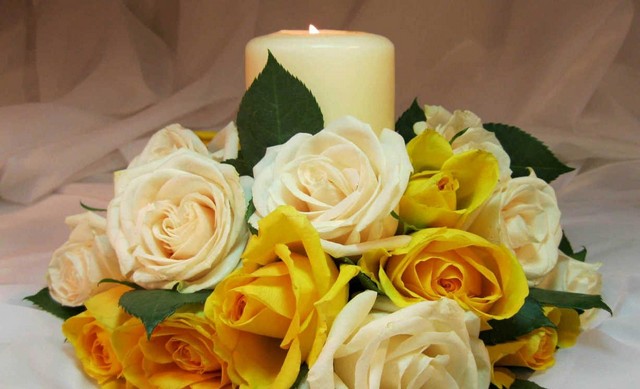 Hoa hồng vàng tượng trưng cho tình yêu chân thành, ấm áp