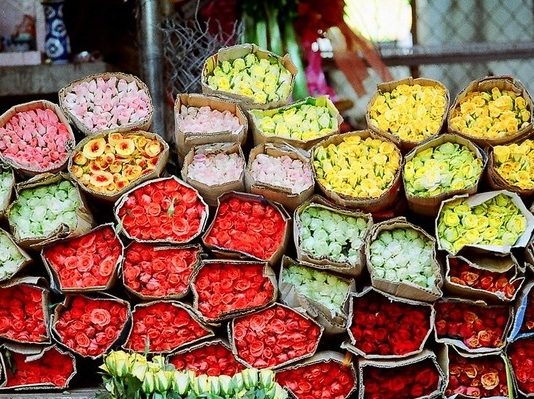 Top 10 hoa hồng cổ chơi tết 2021