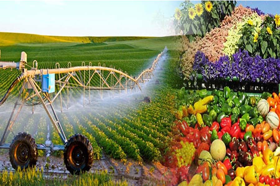 Điện Biên khuyến khích sản xuất nông nghiệp hữu cơ
