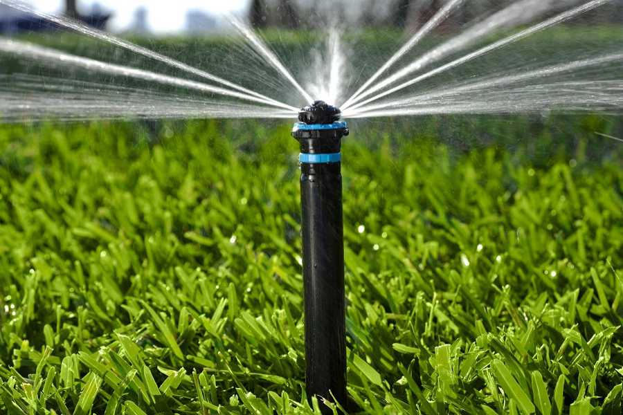 Hệ thống tưới nước tưới cây tự động thông minh giá rẻ
