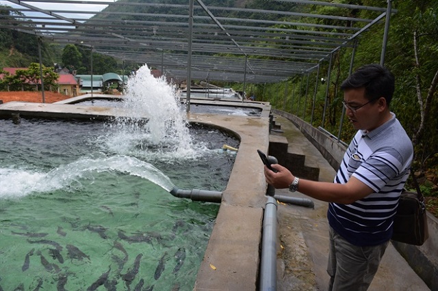 Ao nuôi cá hồi cần được trang bị thêm máy quạt nước để tạo bọt khí