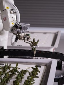 Robot trồng cây giúp việc trồng trọt dễ dàng hơn bao giờ hết 
