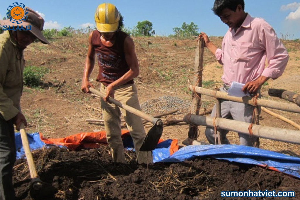Quá trình đào đống ủ (Nguồn: sumonhatvie.com)
