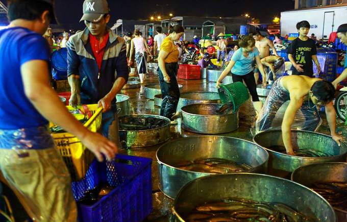 Chợ cá lóc đồng