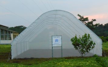 Top 4 mẫu nhà kính mini cho nông nghiệp đô thị, farmstay, nhà vườn Nhà kính mini