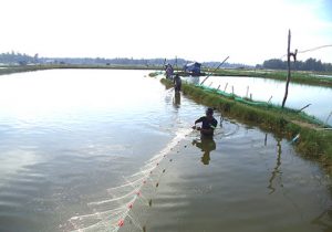 CỔNG THÔNG TIN ĐIỆN TỬ TỈNH ĐỒNG THÁP