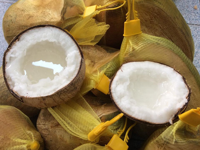 Dừa sáp là món quà tuyệt vời của vùng đất phía Nam