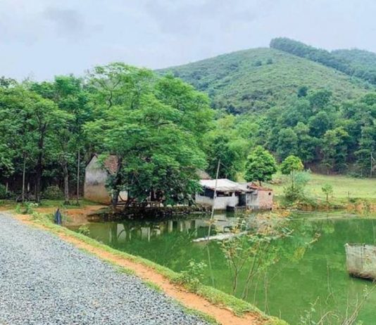 mua-dat-lam-nha-vuon-4