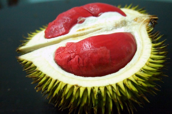 Sẩu riêng ruột đỏ có nguồn gốc từ Malaysia