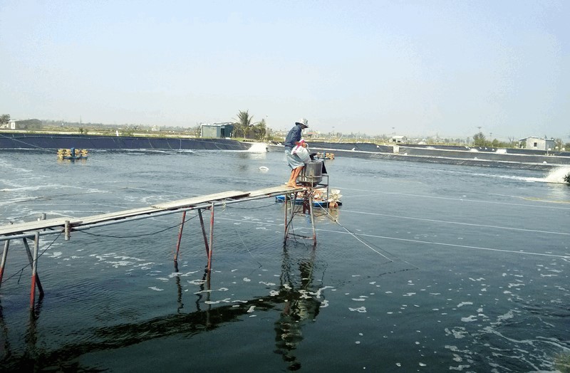 Thẩm định chất lượng nước trong nuôi trồng thủy sản