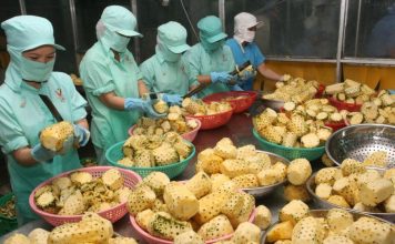 Xuất khẩu nông sản đạt kỷ lục năm 2020- Bước đột phá mới kỷ lục xuất khẩu nông sản 2