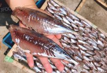 Đặc sản cá nục 1 nắng ngon nức tiếng biển Quảng Ninh