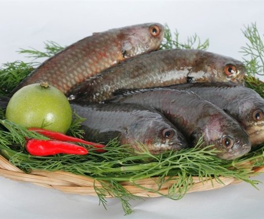 giá cá rô đồng