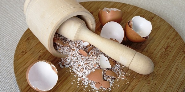 Vỏ trứng cũng có  thể dùng để xua đuổi ốc sên