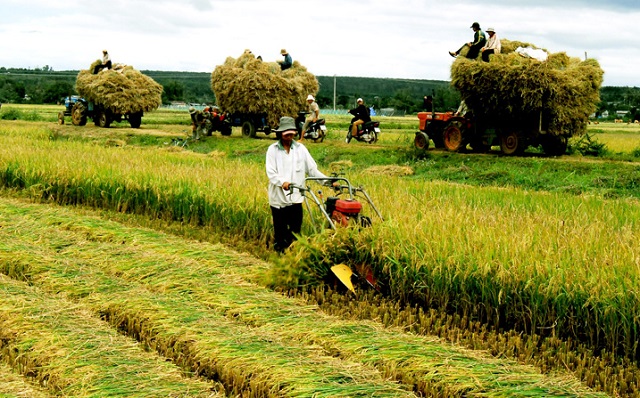Cơ giới hoá nông nghiệp xuất hiện giúp giảm công sức và thời gian lao động xuống mức thấp nhất