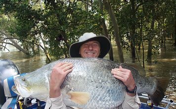 Nghệ thuật câu cá vược cho những kẻ đi săn Cách câu cá vược