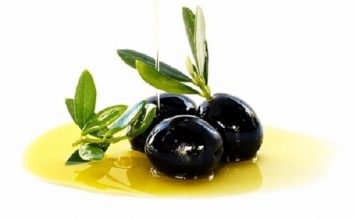 Cách Trồng Olive Phát Triển Mạnh Và Cho Nhiều Trái