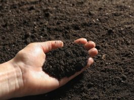 Nguyên liệu sản xuất đất trộn