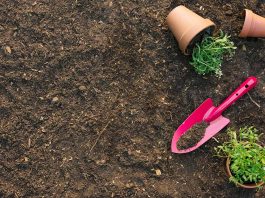 Vai trò của viên đất nung trong cải tạo đất trồng Vai trò của viên đất nung trong cải tạo đất trồng