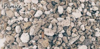 vai trò của đá pumice trong cải tạo đất trồng