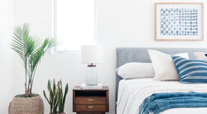 Các loại cây hợp phòng ngủ bạn giúp cải thiện giấc ngủ