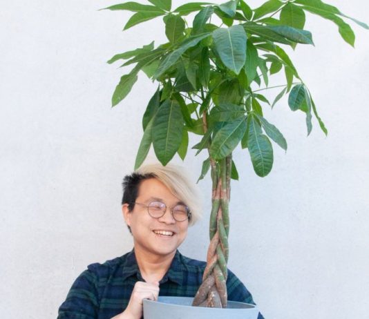 Ý nghĩa cây kim ngân có thể bạn chưa biết Ý nghĩa cây kim ngân có thể bạn chưa biết 1